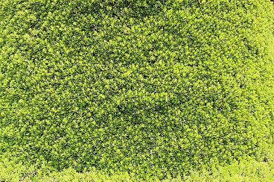 《七龙珠 异战2 特别版 for Nintendo Switch》将于2022年5月12日推出中文版